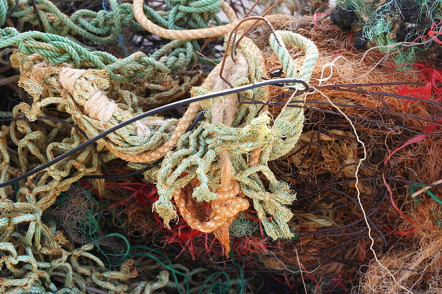 flotsam, environment, web, no people, plant, nature, plant part HD wallpaper
