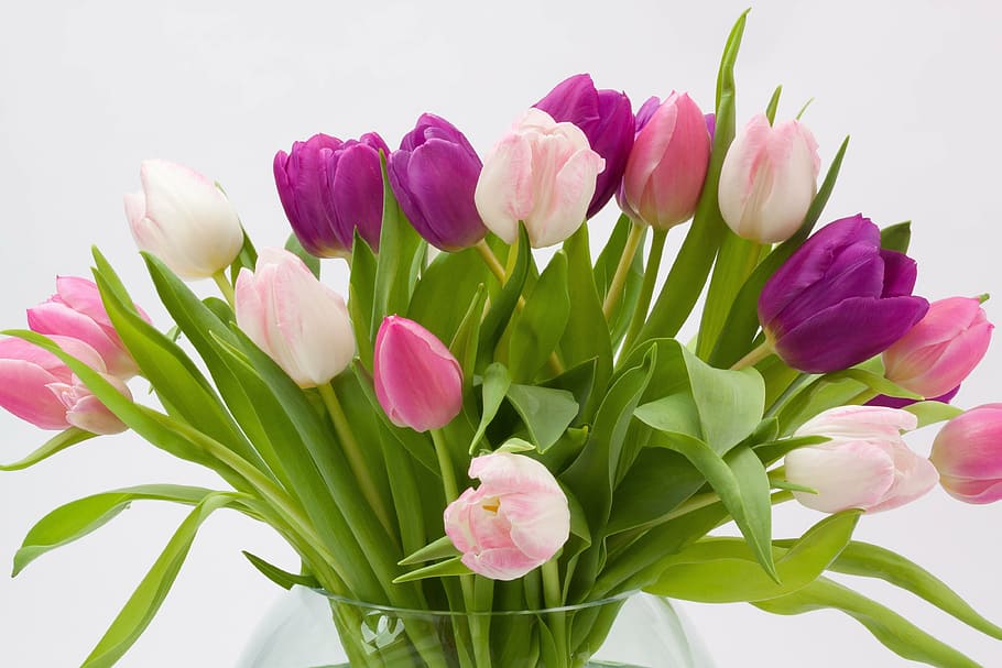 tulips flower arrangement, tulip bouquet, spring flower, schnittblume, HD wallpaper