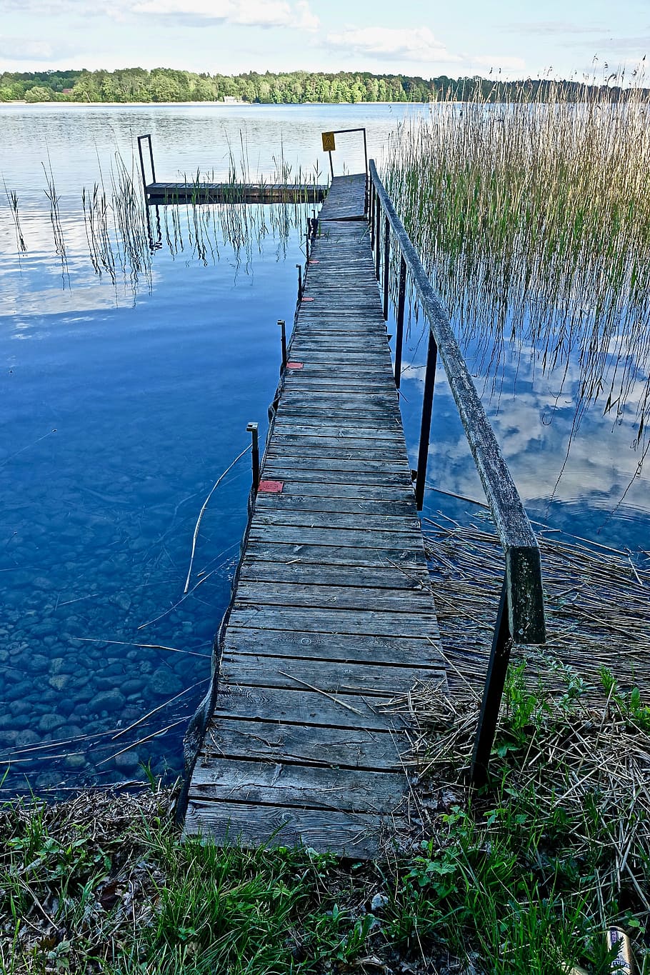 pier, jetty, wood, river, nature, tranquil, lake, ecology, landscape HD wallpaper