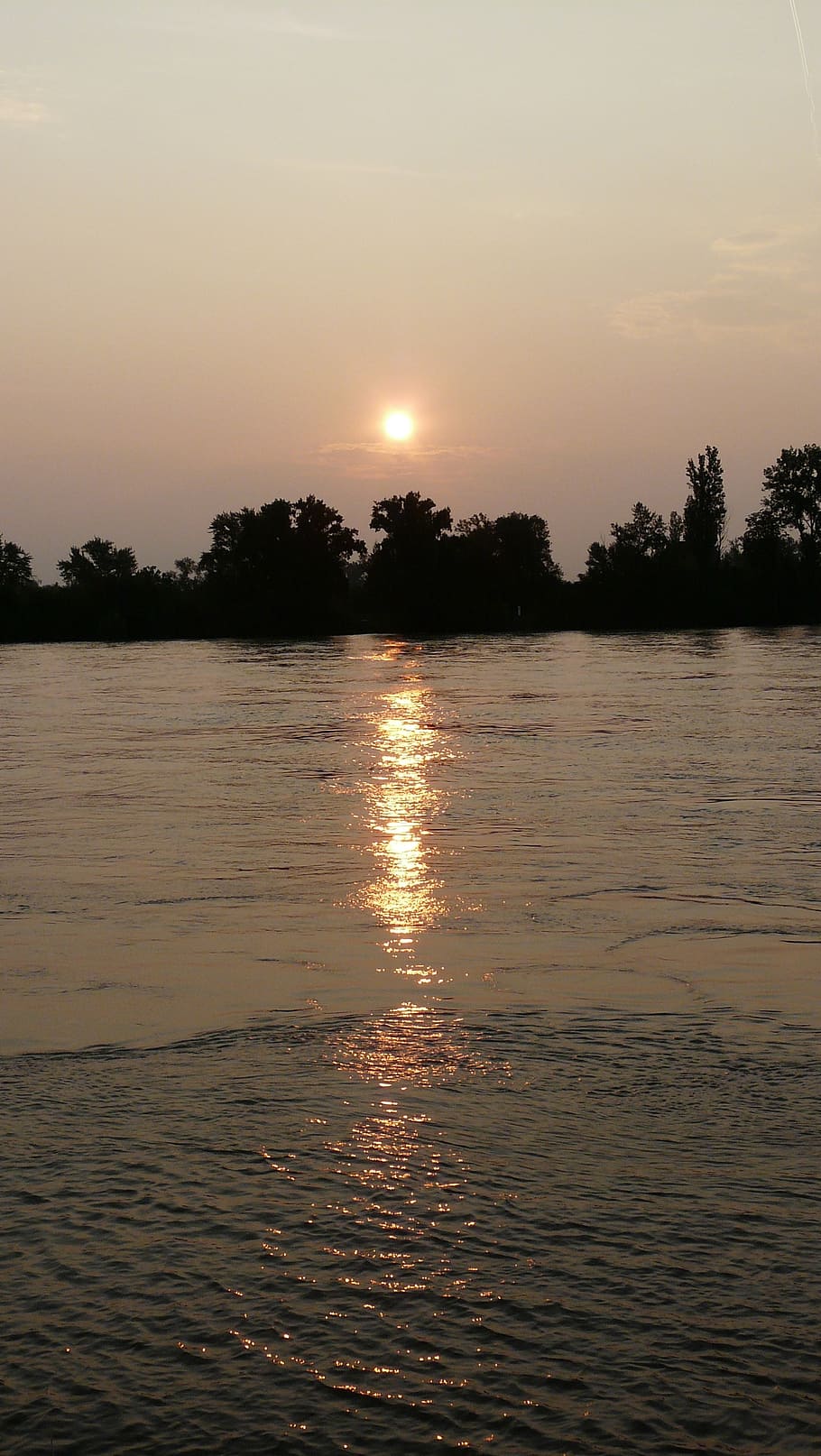 sunrise, nierstein, river, mood, water, sunset, sky, tranquility HD wallpaper