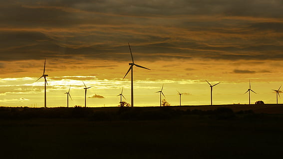 silhouette of wind turbines at sunset, clouds, golden, hour HD wallpaper