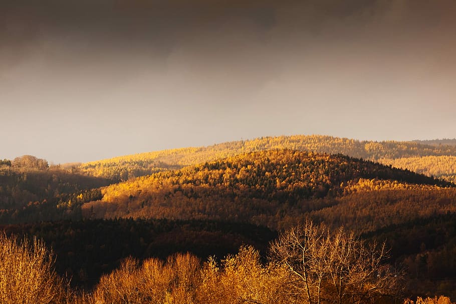 Autumn, Evening, Fall, Forest, Landscape, light, mountain, nature HD wallpaper