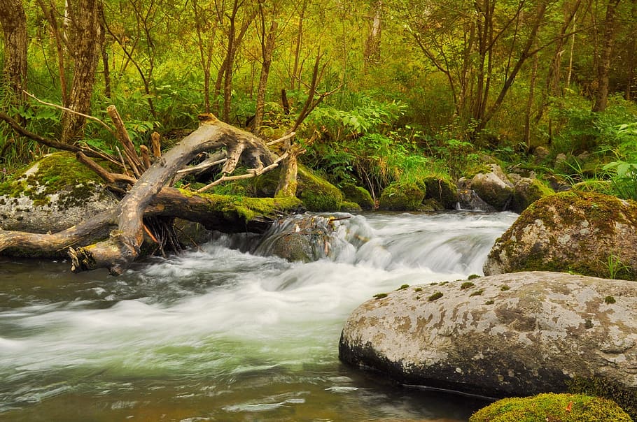 brown stones and river at daytime, rocks, beach, landscape HD wallpaper