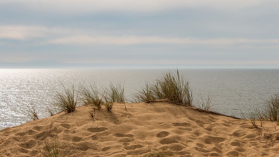 beach sand and grass next to body of water, dunes, sylt, island, HD wallpaper