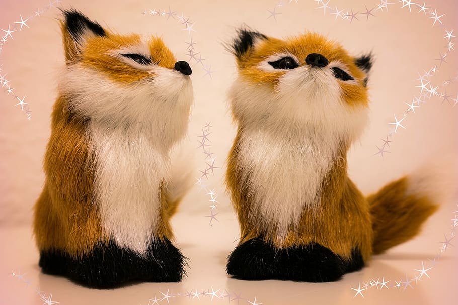 Fuchs, Christmas, Star, Deco, stuffed animal, toys, sweet, couple HD wallpaper