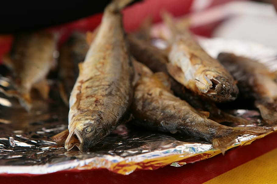 Fish, Grilled, early, food and drink, close-up, no people, indoors HD wallpaper