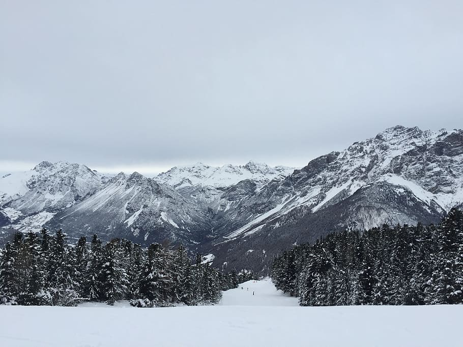the alps, livigno, panorama, stok, winter, mountains, forest, HD wallpaper