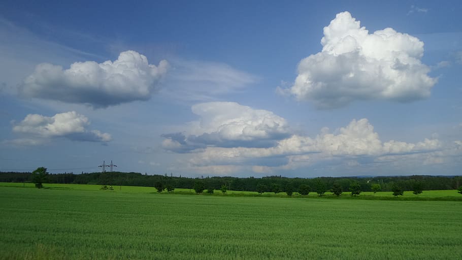 cloud, sky, whiff, meadow, forest, park, field, landscape, green HD wallpaper