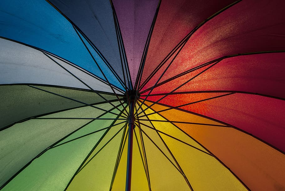 multicolored umbrella, parasol, screen, rainbow, pattern, colorful HD wallpaper