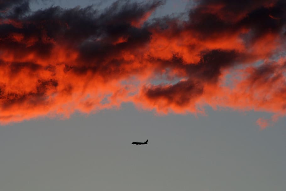 silhouette of plane on air under orange sky, flight plane, Sydney HD wallpaper