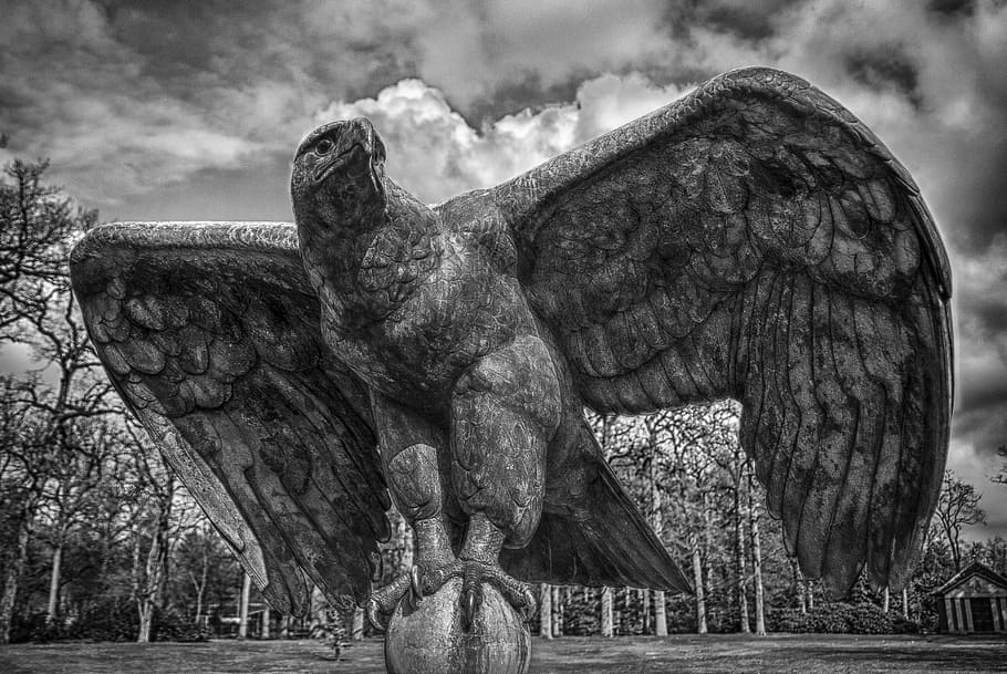 House Thorn, Eagle, Statue, history, no people, sculpture, one animal HD wallpaper