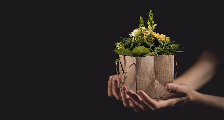 person holds brown paper bag with flower plants, flowers, bouquet