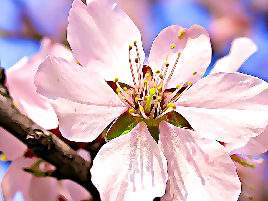 Flower, Spring, Bloom, Digital, Painting, spring flowers, pink HD wallpaper