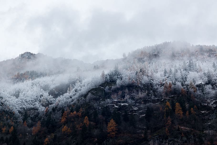 Mountain Surrounded by Trees With Snows, autumn, clouds, cold HD wallpaper