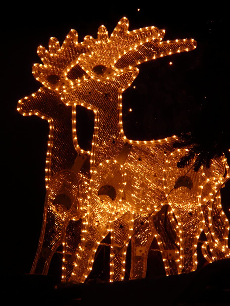 Christmas, Reindeer, lichterkette, winter, light, night, lamps, HD wallpaper