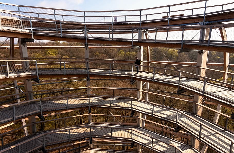 tree trail, construction, observation tower, platform, upward HD wallpaper