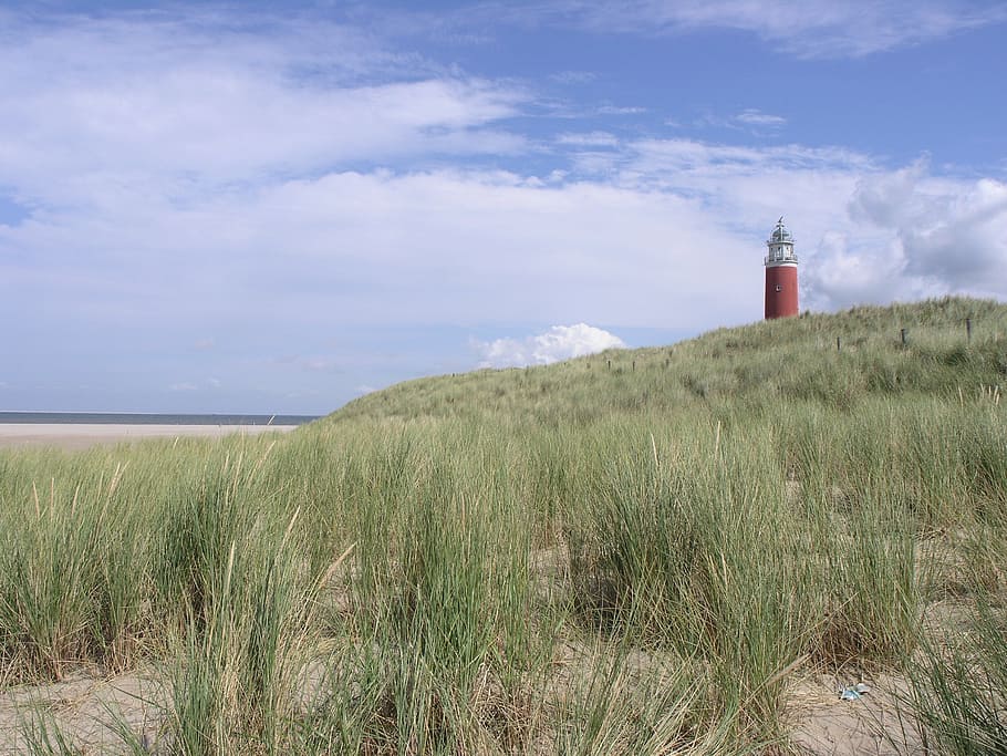 Dutch, Wadden, Texel, Lighthouse, Beach, nature, sand Dune, HD wallpaper