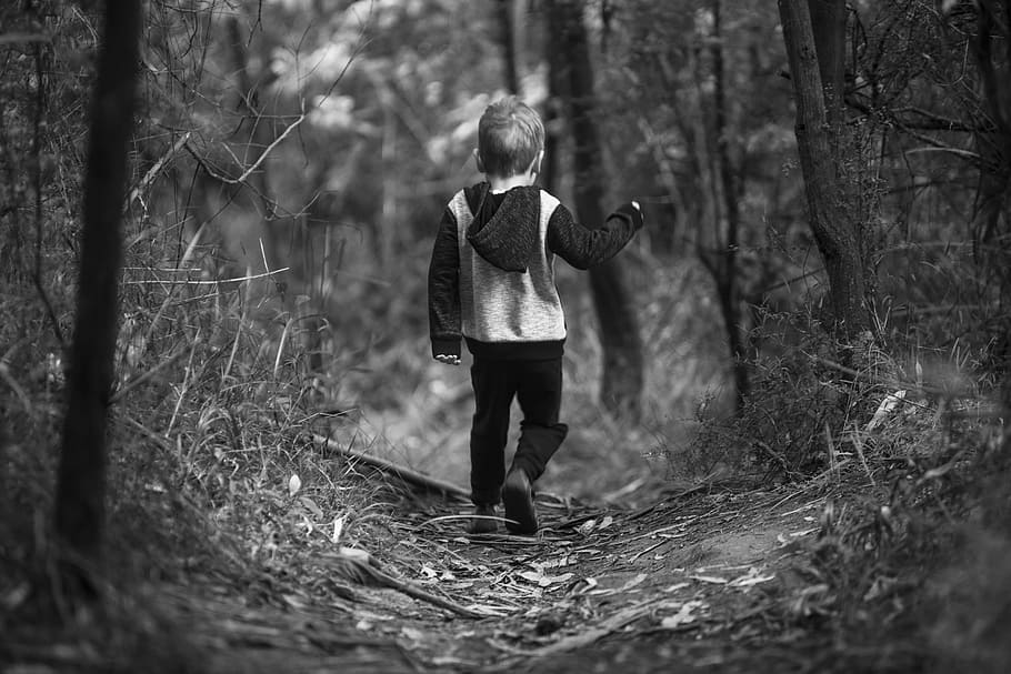 Childhood, grayscaled photo of boy walking in middle of trees HD wallpaper