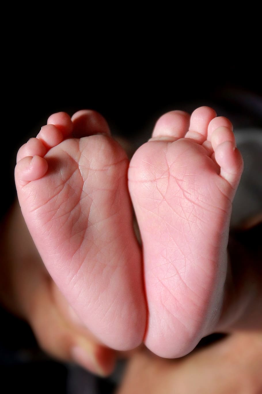baby feet, newborn, leg, child, small, childhood, body, infant, HD wallpaper