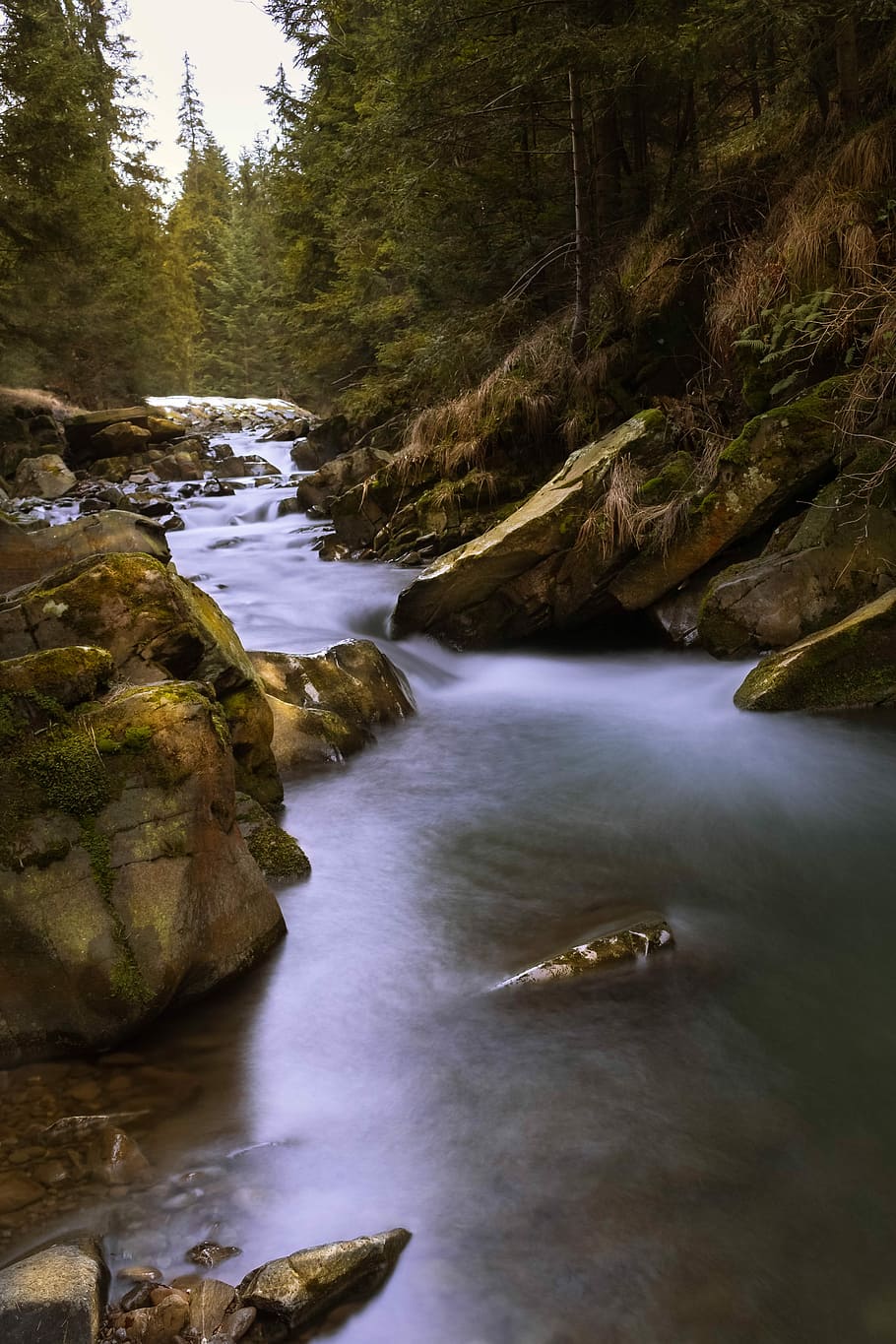 river, landscape, forest, water, view, tree, plant, scenics - nature HD wallpaper