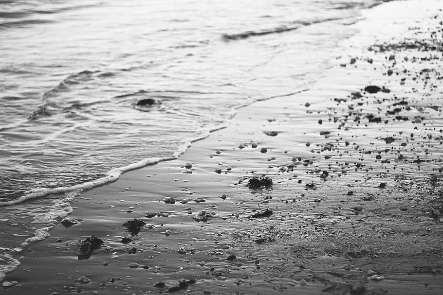 beach, water, sea, rating, holiday, black and white, landscape, HD wallpaper