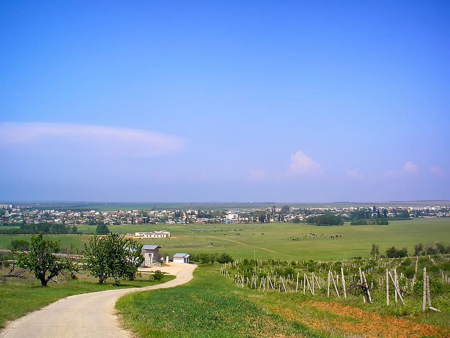 Belarus, Landscape, Scenic, Sky, vilino, clouds, vineyard, rural, HD wallpaper