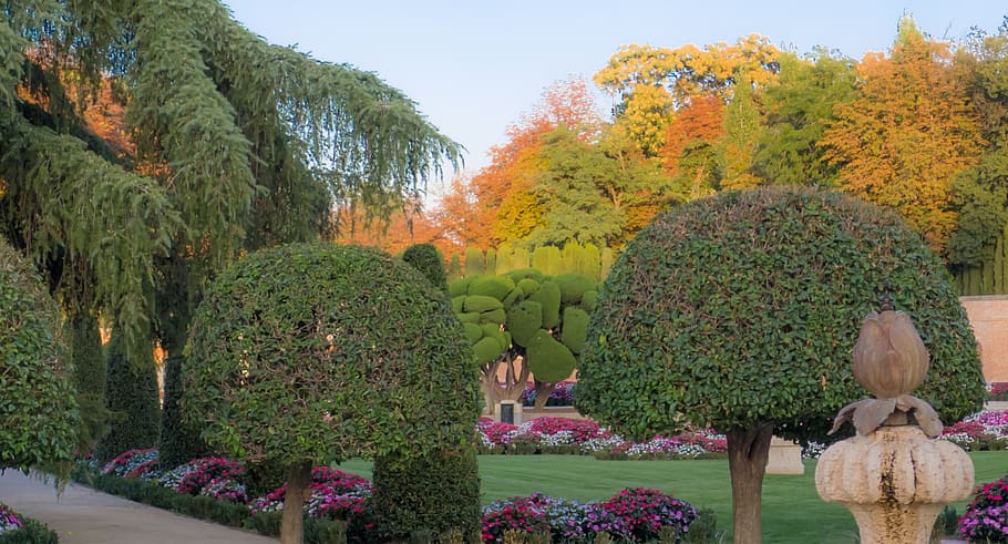 park, outdoors, tree, flowers, nature, spring, plant, madrid HD wallpaper