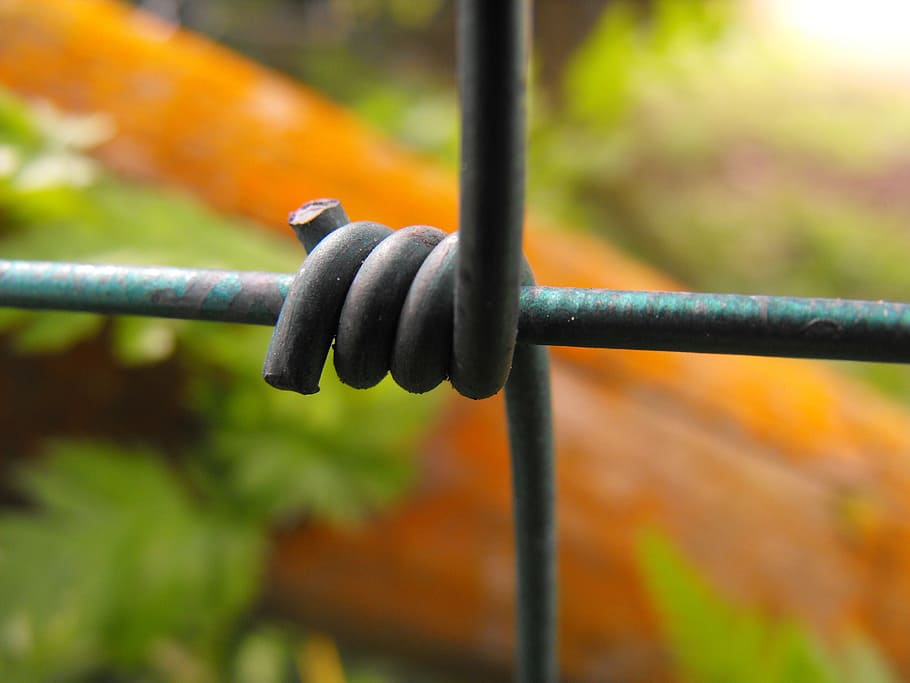 wire, fence, macro, timber, moss, border, metal, focus on foreground HD wallpaper