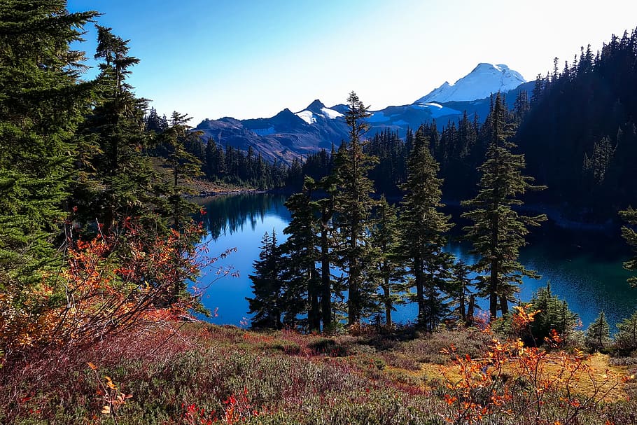 body of water surrounded by trees, washington, landscape, scenic HD wallpaper