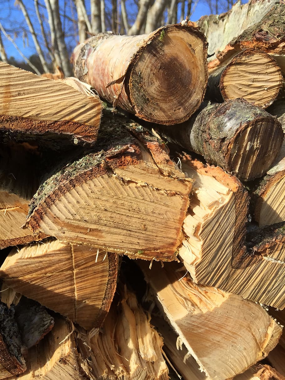 wood, spring, nature, log, timber, firewood, lumber industry HD wallpaper