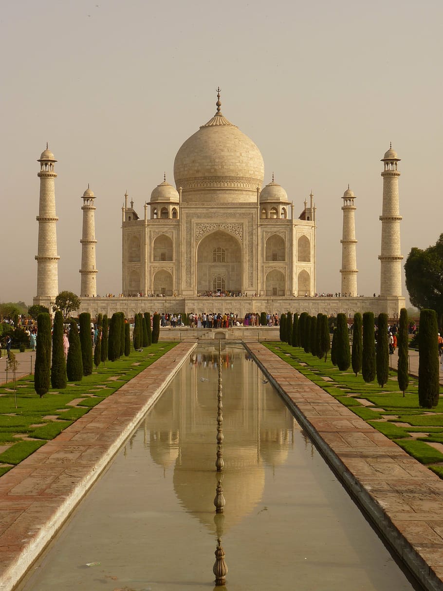 Taj Mahal, India, mausoleum, agra, grave mosque, architecture, HD wallpaper