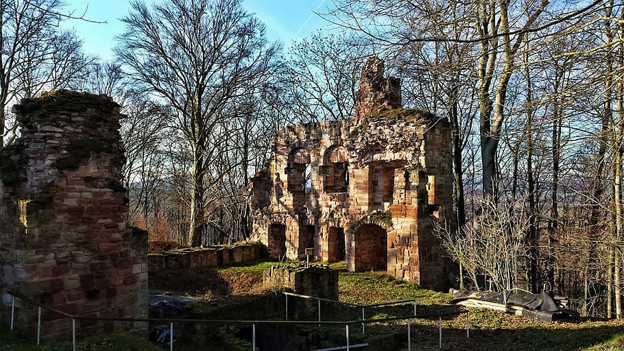 Ruin, Krayenberg, Thuringia, Germany, thuringia germany, castle HD wallpaper