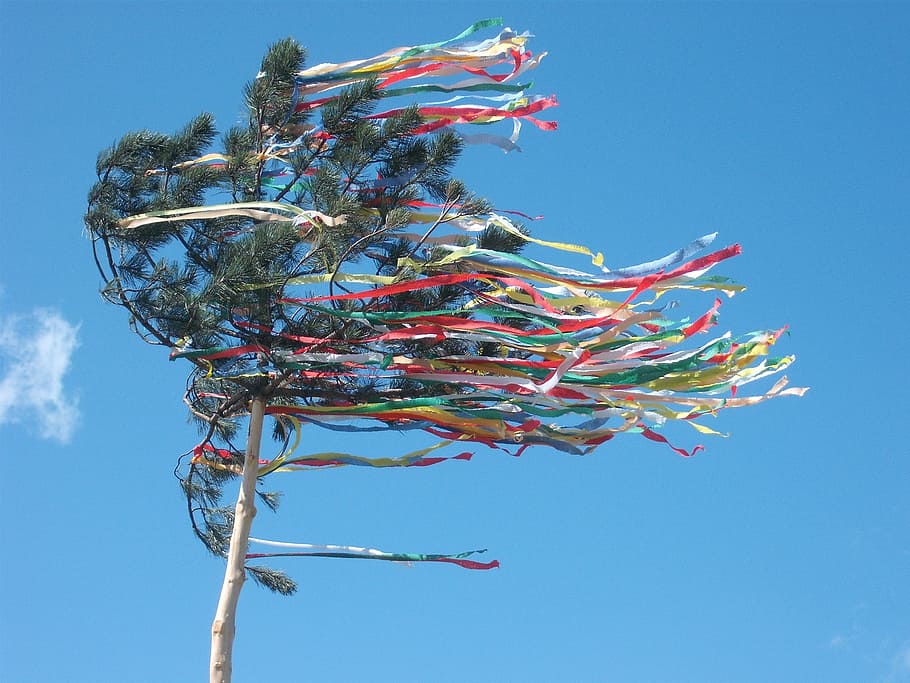 maypole, celebration, tree, holiday, decoration, festive, ornament HD wallpaper