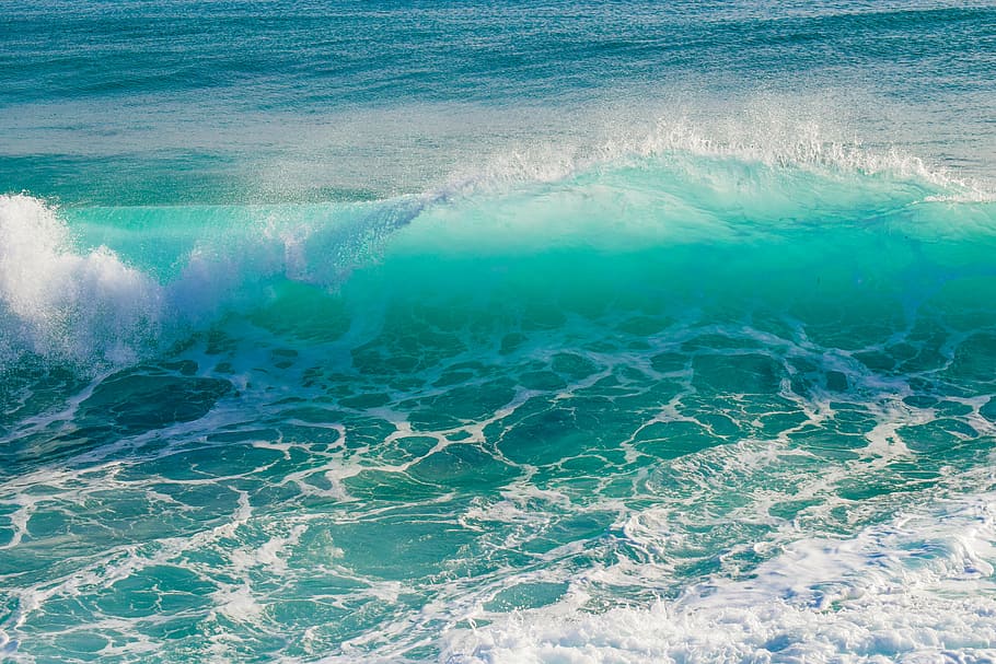 green and white ocean, wave, transparent, smashing, spray, foam HD wallpaper