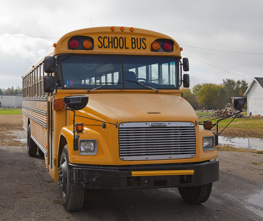 school, bus, auto, mode of transportation, land vehicle, yellow HD wallpaper
