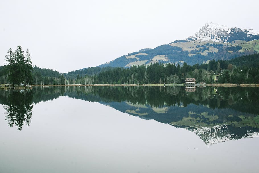 lake, mountain, nature, reflection, scenic, trees, water, forest HD wallpaper