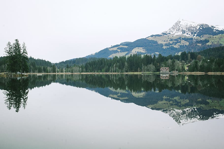 landscape photo of a lake beside trees, reflection of trees on body of water during daytime HD wallpaper