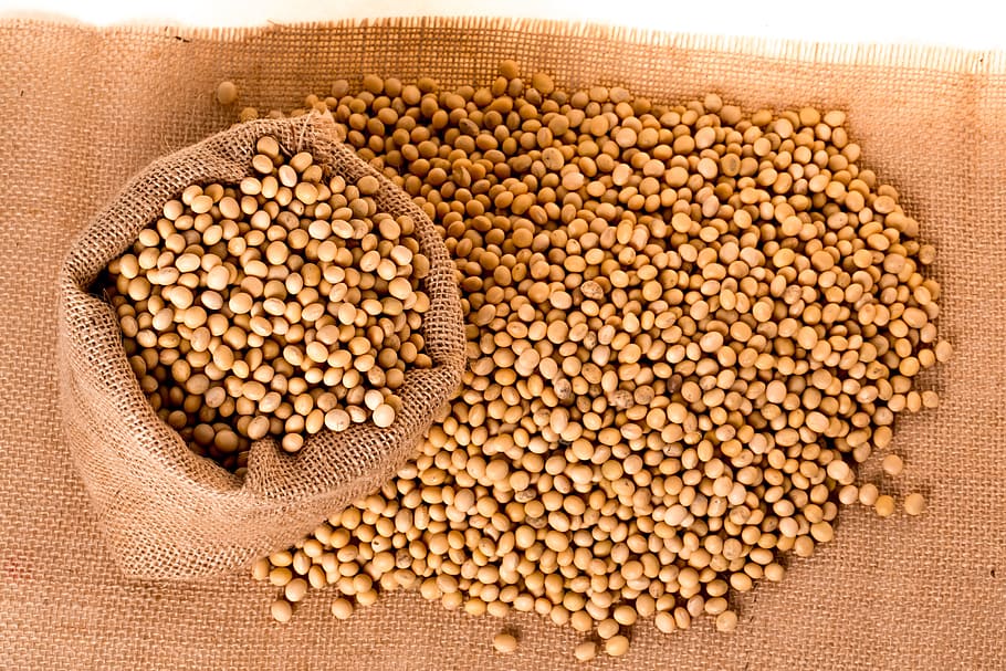 flat lay photography of soy beans, Soybeans, Plants, Seeds, Bag