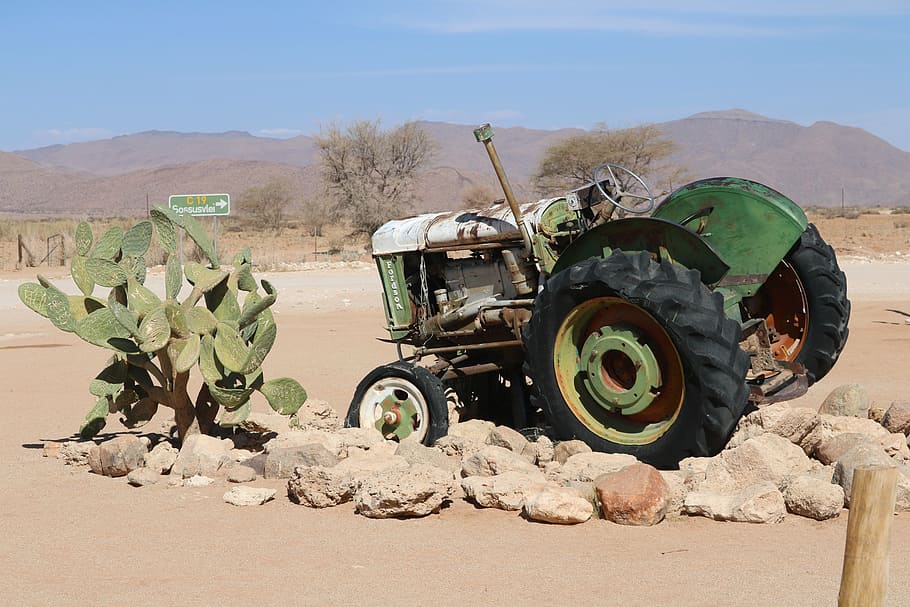 tractor, tractors, oldie, scrap, mature, cactus, sand, fordson HD wallpaper