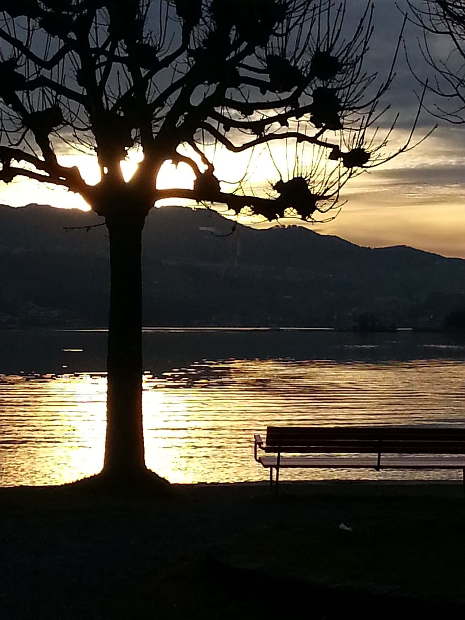 Evening, Tree, Bank, Lake, abendstimmung, water, mountains HD wallpaper