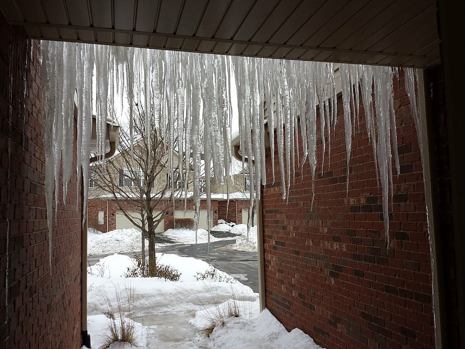 icicles, cold, ice, winter, snow, frozen, cold temperature HD wallpaper