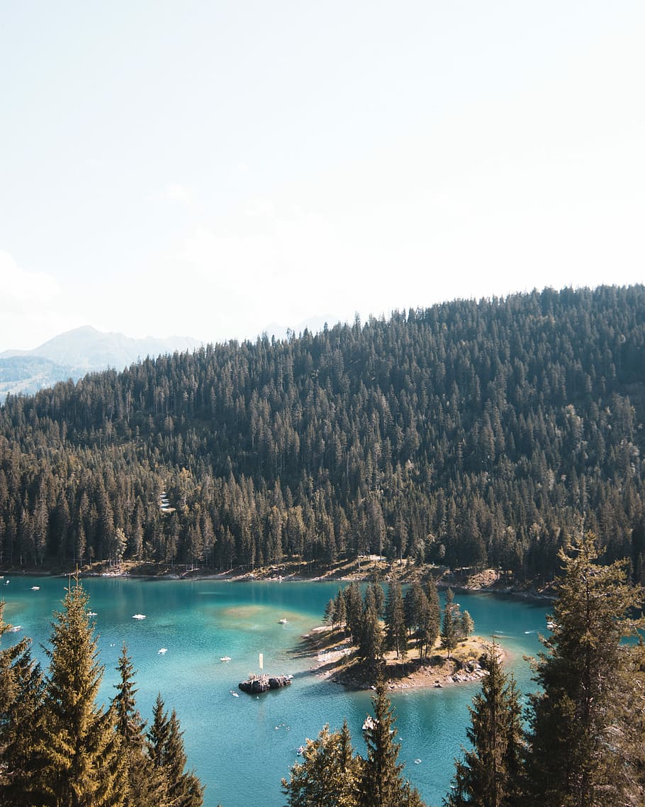 aerial photography of body of water, body of water beside forest HD wallpaper