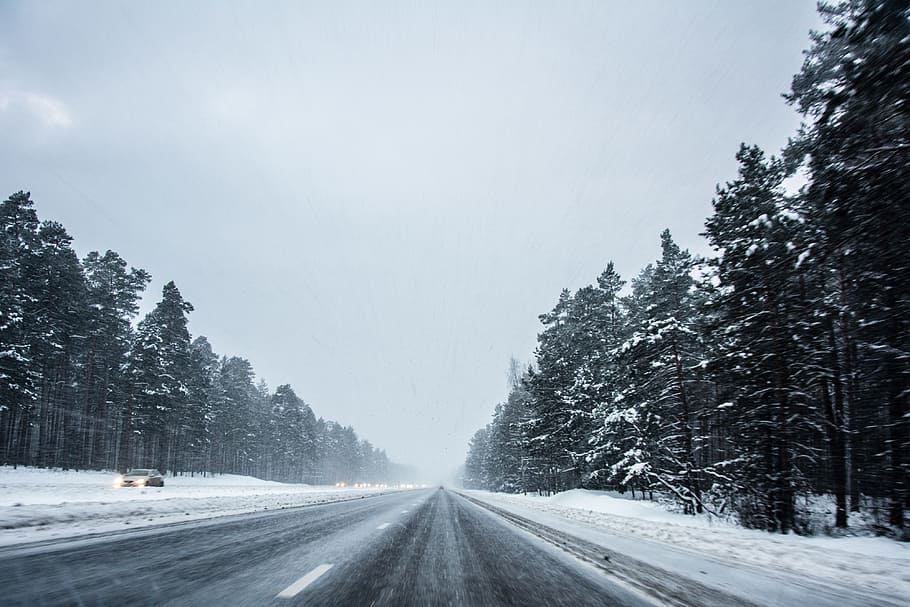 Winter driving, landscape, snow, nature, forest, tree, cold - Temperature HD wallpaper