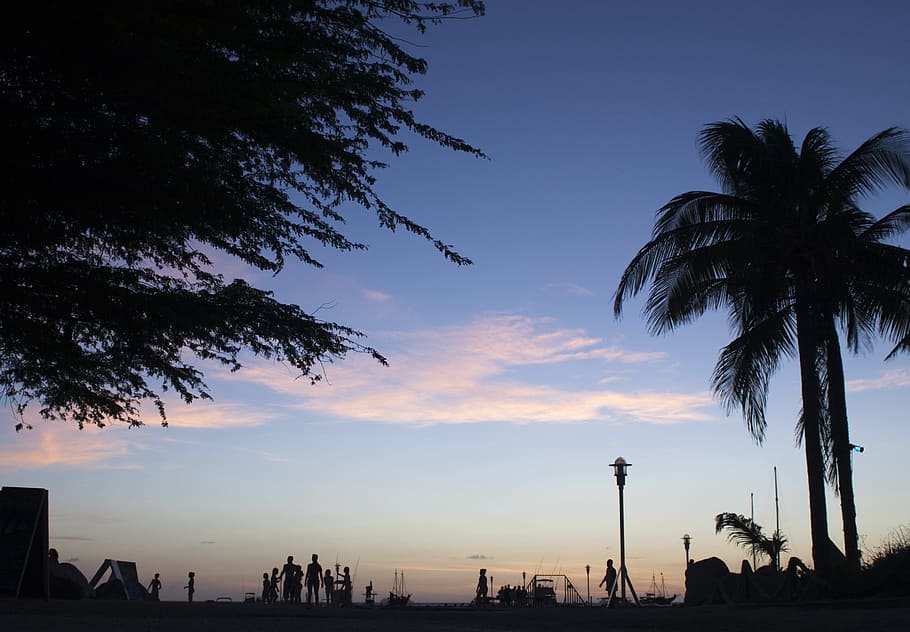 sunset, dusk, silhouette, palm trees, harbor, harbour, people HD wallpaper