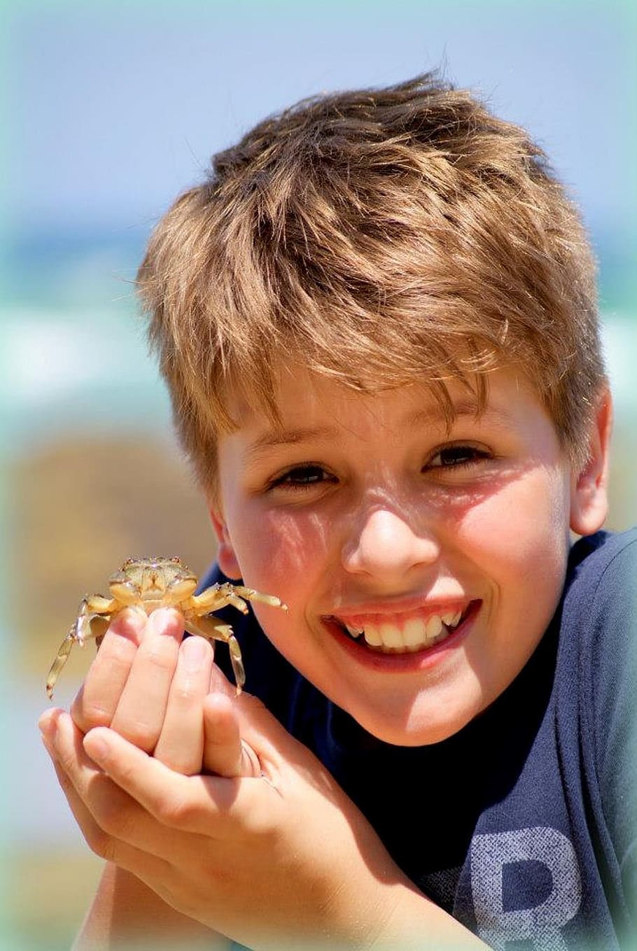 boy holding brown crab, beach, fun, beach fun, vacation, happy HD wallpaper