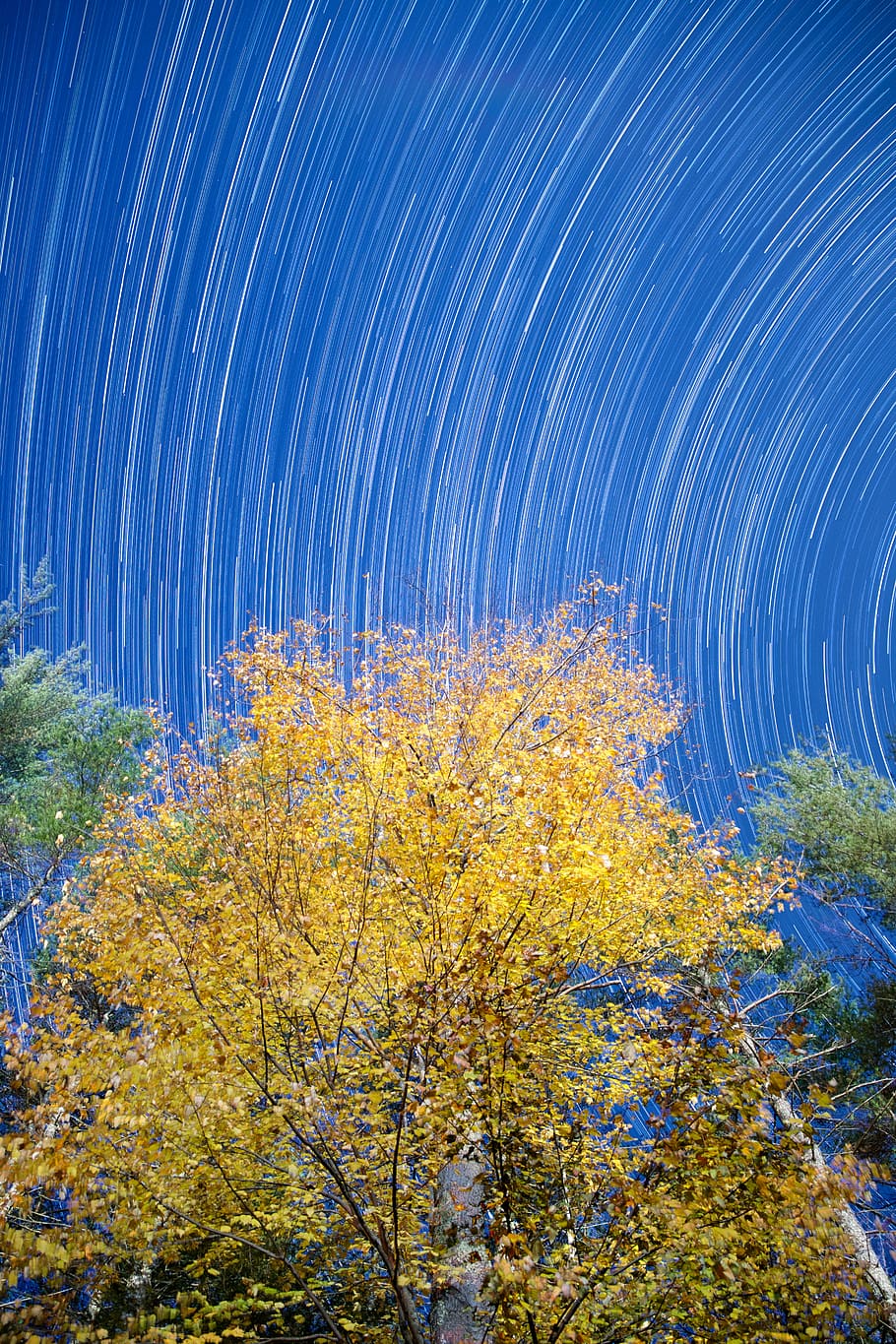 timelapse photography of sky, green leafed trees during daytime HD wallpaper