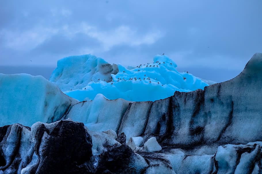 cold, glacier, melting, landscape, climb, daylight, zing, frost HD wallpaper