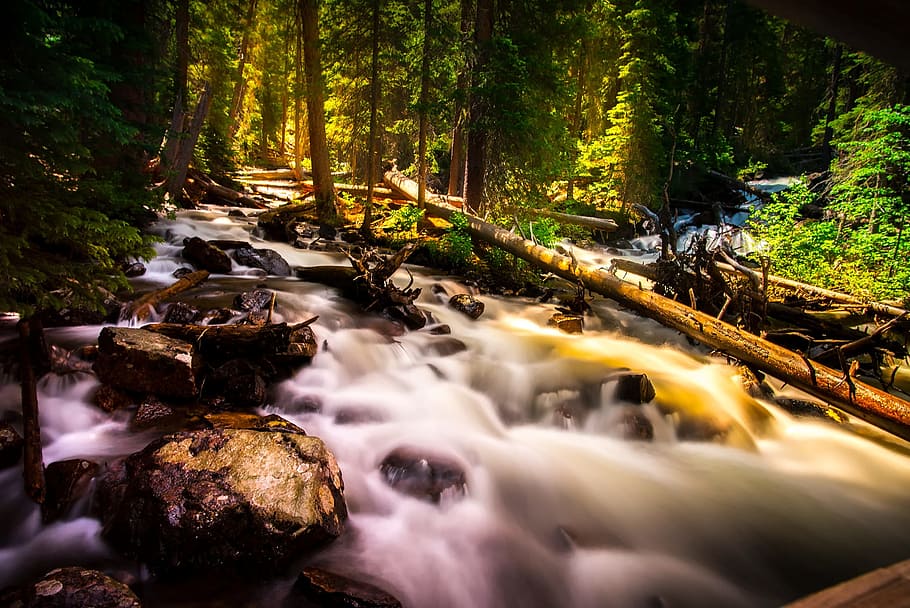 timelapse photography of river in the middle of forest, colorado, HD wallpaper