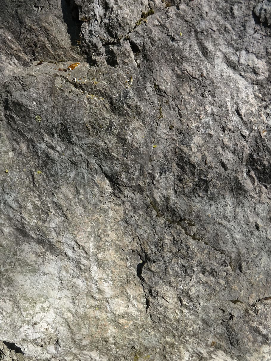 stone, surface, rau, texture, structure, rock, solid, limestone HD wallpaper