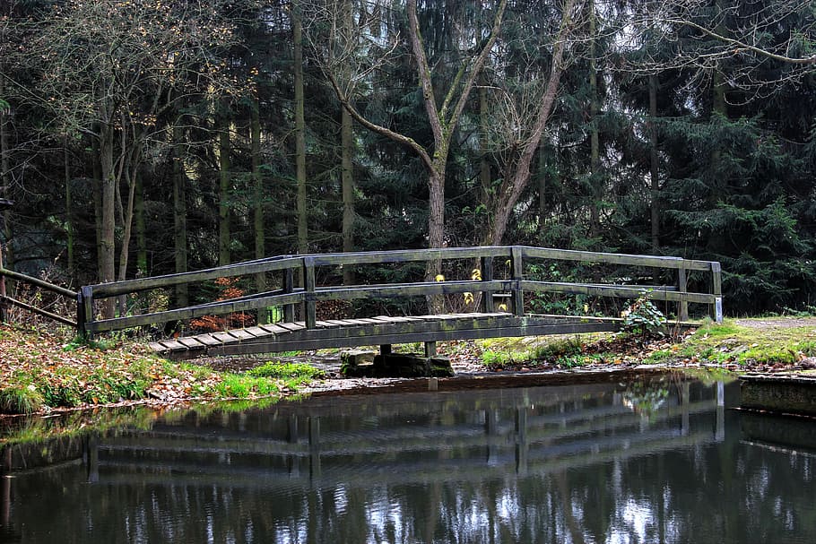 bridge, water, mirroring, web, landscape, wooden bridge, nature HD wallpaper